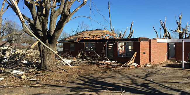 Examining-regional-differences damaged house and tree